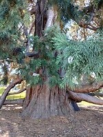 IMG_20240830_125040835_HDR