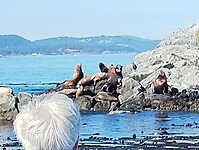 IMG_20240830_163406222