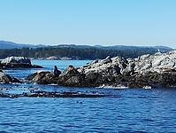 IMG_20240830_163602300