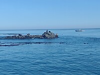 IMG_20240830_164051796