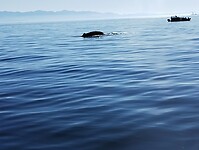IMG_20240830_170937336
