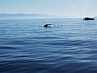 IMG_20240830_170938024
