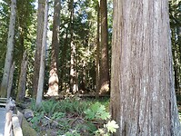 IMG_20240831_151538085