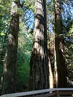 IMG_20240831_151730199_HDR