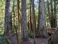 IMG_20240831_152004806_HDR