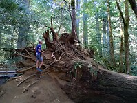 IMG_20240831_153157894_HDR
