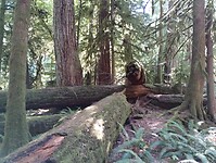 IMG_20240831_153433155