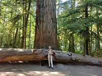 IMG_20240831_154646203