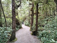 IMG_20240901_113157994