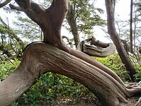 IMG_20240901_113811082_HDR