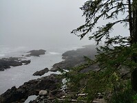 IMG_20240901_113928833_HDR