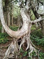 IMG_20240901_114051357