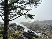 IMG_20240901_114800540_HDR