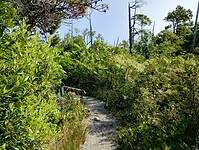 IMG_20240901_122943220_HDR