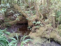 IMG_20240901_123217200