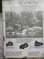 IMG_20240901_200007746