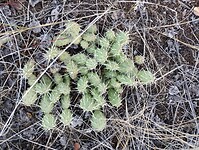 IMG_20240903_185538723