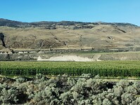 IMG_20240904_085925271