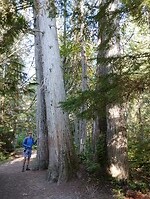 IMG_20240905_094004481