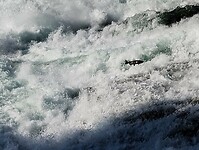 IMG_20240905_095458063