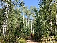 IMG_20240905_143955211_HDR