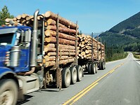 IMG_20240906_110021623
