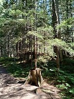 IMG_20240906_135900939_HDR