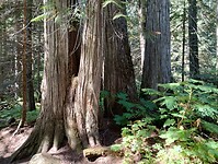 IMG_20240906_135919722_HDR