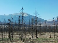 IMG_20240907_120626102
