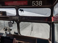 IMG_20240907_155717815_HDR