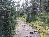 IMG_20240908_090307536