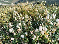 IMG_20240908_092403515