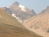 IMG_20240908_100333188
