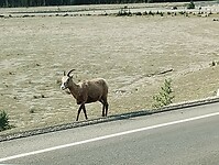IMG_20240908_113819543