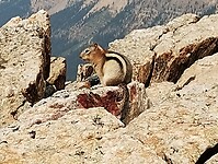 IMG_20240908_141120476