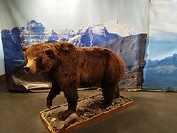 IMG_20240909_102814415