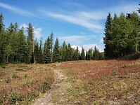 IMG_20240909_111040492
