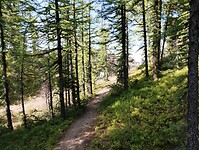 IMG_20240909_111213149_HDR