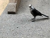 IMG_20240909_162545700