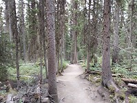 IMG_20240909_173316836