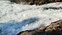 5-9-2024 Wells Gray, springende zalm 2, Canada