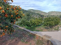 IMG_20250108_140313719_HDR