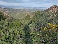 IMG_20250108_144643222_HDR