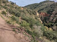 IMG_20250108_151431695_HDR