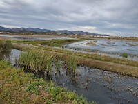 IMG_20250108_160650954_HDR
