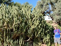 IMG_20250109_120930546_HDR