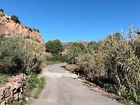IMG_20250109_121428254