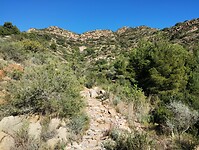 IMG_20250109_125539699