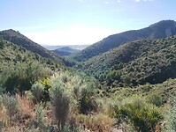 IMG_20250109_125741312