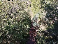 IMG_20250109_125749512_HDR